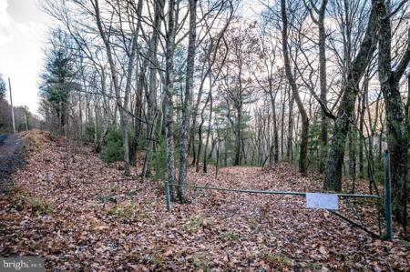 Lot 22 BUCK RIDGES ROAD