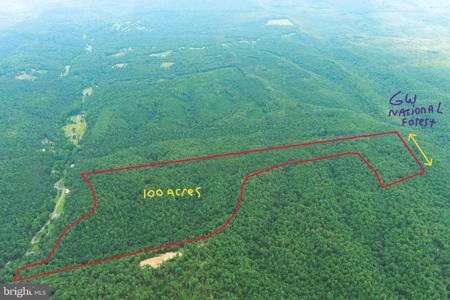 100 AC ON GEORGE WASHINGTON NATIONAL FOREST
