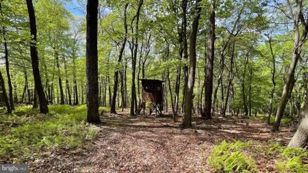 133.944 ACRES RUSSELLDALE ROAD
