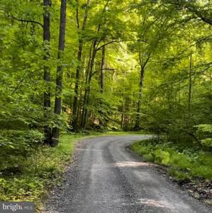 3 HARDSCRABBLE ROAD