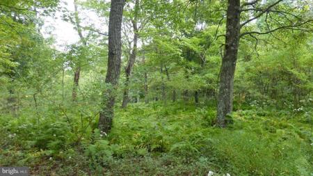 Lot 18 TOP OF THE MOUNTAIN RD