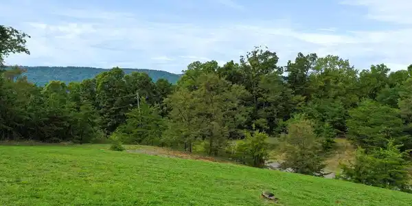 CARDINAL RIDGE ESTATES