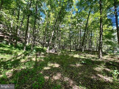 LOT 4 SECTION 7 HIGH KNOB ROAD