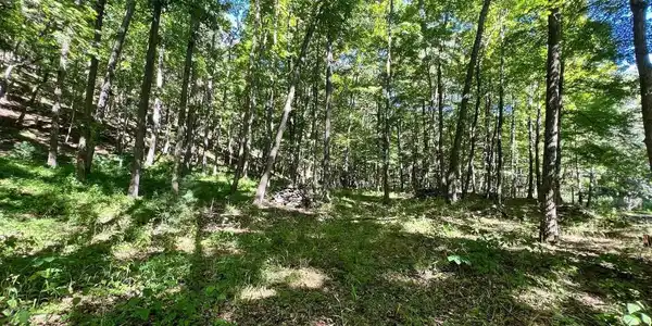 LOT 4 SECTION 7 HIGH KNOB ROAD