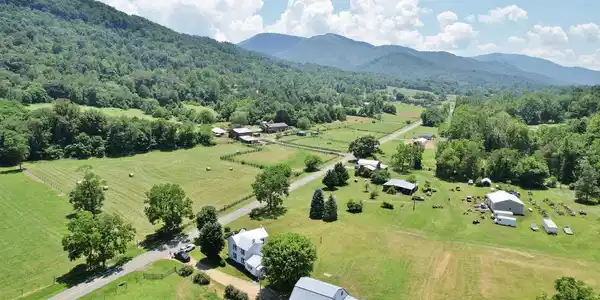 3150 IDA ROAD