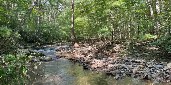 535 OLD HOLLOW ROAD