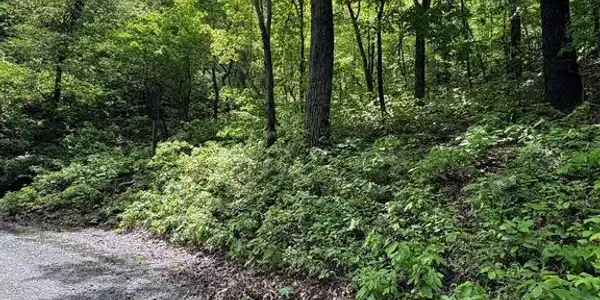 LOT 151 TOMAHAWK TRAIL