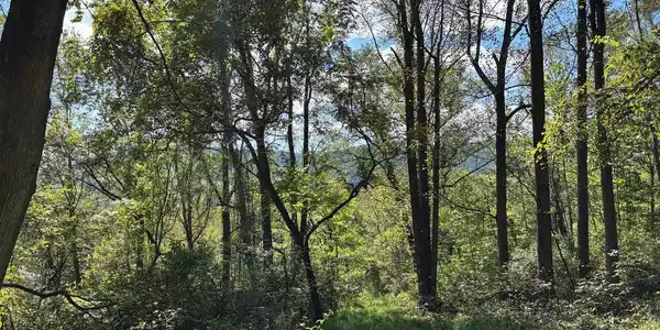 0 HARRIS HOLLOW ROAD