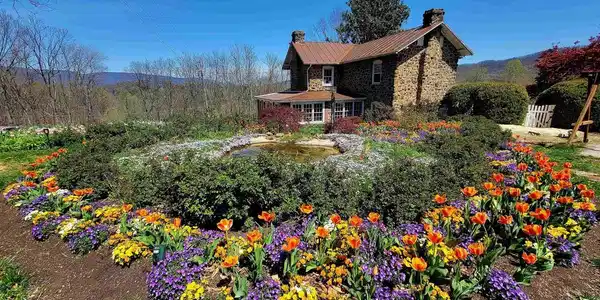 128 ROCKFISH ORCHARD DR