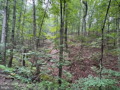 CACAPON RETREAT LANE