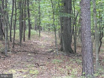 152 Acres OFF PLUM RUN ROAD