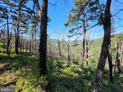 Lot 75 HUNTERS RIDGE TRAIL