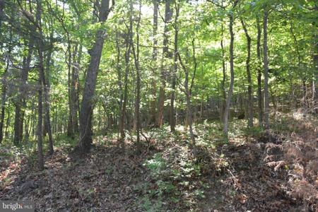 3 Lots - 59, 60, 61 BALDWIN ROAD