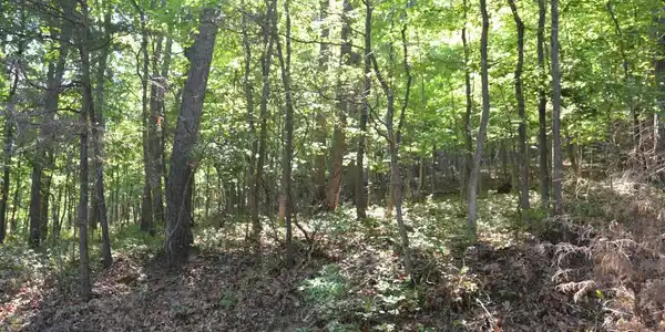 3 Lots - 59, 60, 61 BALDWIN ROAD