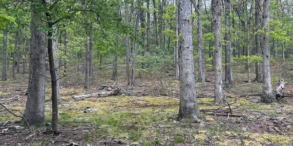 0 CUT OFF ROAD