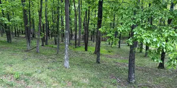 Lot 55 & 56 SARAH LINCOLN DR.