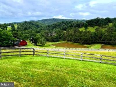 8763 GRASSY LICK ROAD