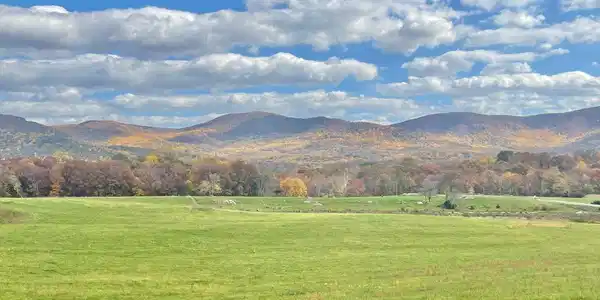 Lot 9 BUCK MOUNTAIN RD