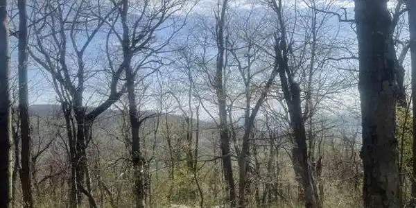 Lot 17 WOODS GAP RD