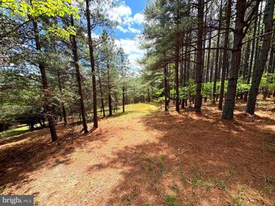 20.74 AC LOT 10 ASHTON WOODS