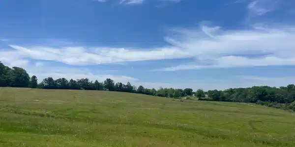 Lot 6 GUN CLUB RD