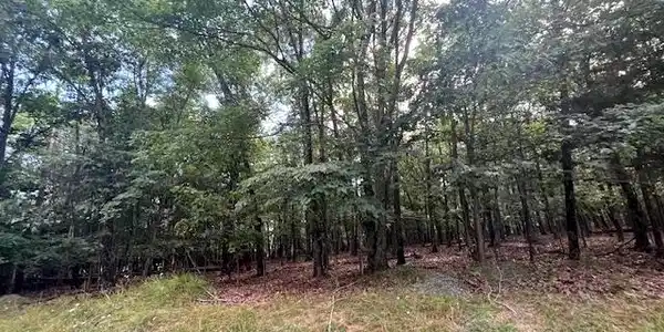 0 THREE OAKS LANE