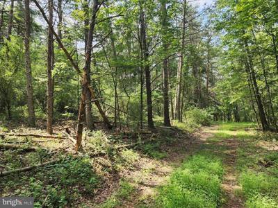 6.47 ACRES BURD LANE