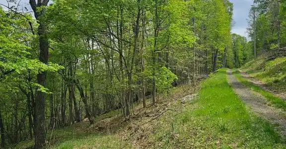 HIGH VIEW ROAD