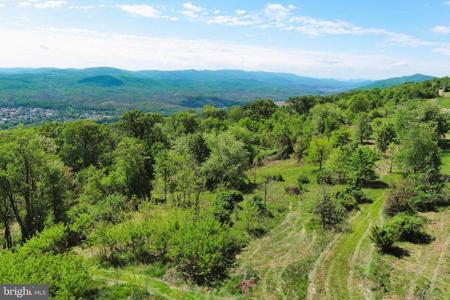 LOT # 69 HIGH MOUNTAIN ORCHARDS