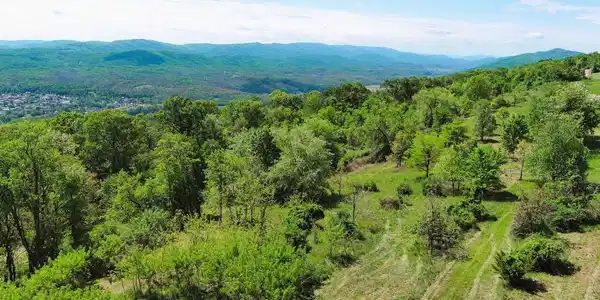 LOT # 69 HIGH MOUNTAIN ORCHARDS