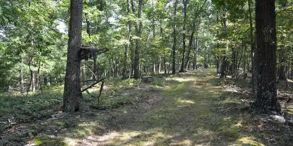 BRUSH CREEK ROAD