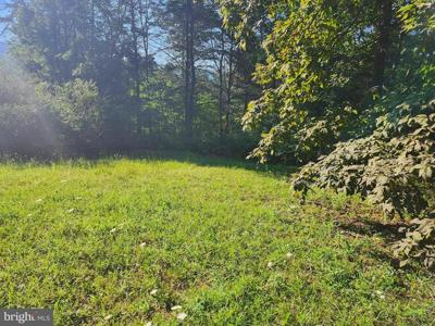 LOT 79 MYSTIC MOUNTAIN BOULEVARD