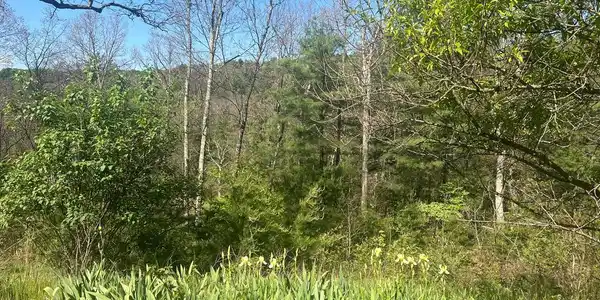 73 MULLEN LANE