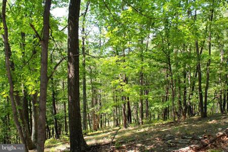 38 WILLIAMSPORT ROAD