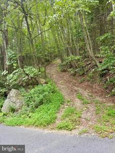 MOUNTAIN ROAD