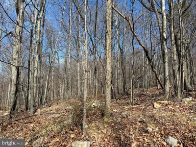 Lot 63 HIGH MOUNTAIN VIEW ROAD