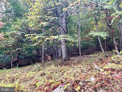Lot 16 DEWDROP LANE