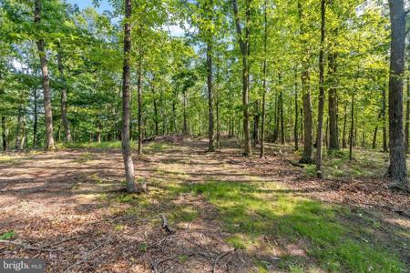Lot A SAW MILL ROAD