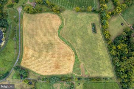 20.17 Acres HEDGELAND LANE