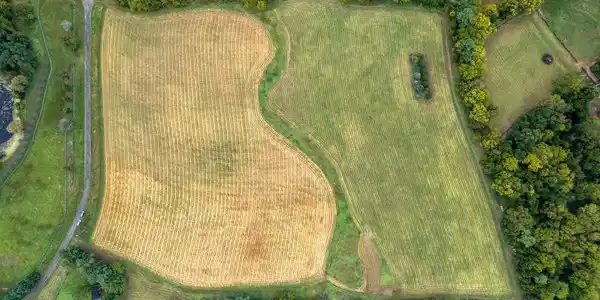 20.17 Acres HEDGELAND LANE