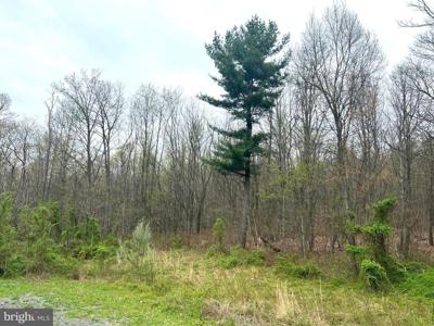 Lot #17 RIDGE WAY DRIVE