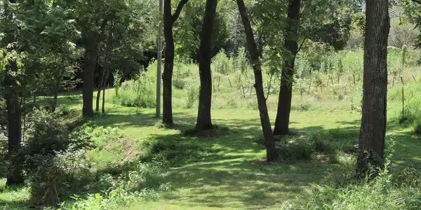 TIGER VALLEY ROAD