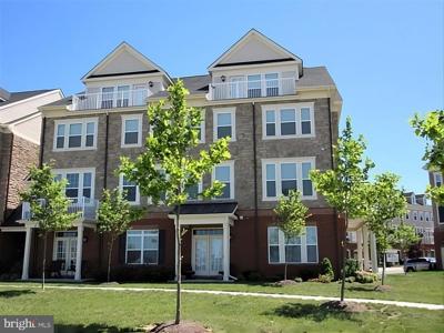 42581 SUNSET RIDGE SQUARE