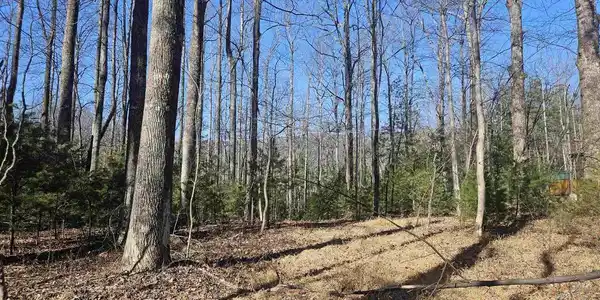 TBD Lot 56G TURKEY RIDGE RD