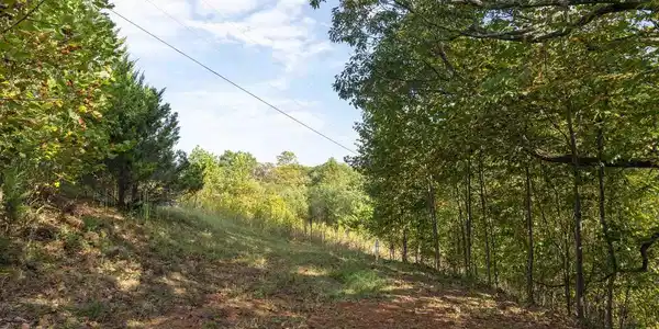 TBD CHERRY GROVE LN
