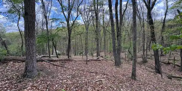 5 AC BEAM ROAD