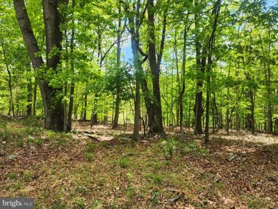 5 ACRES PINE GROVE RD