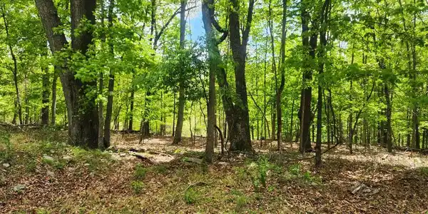 5 ACRES PINE GROVE RD