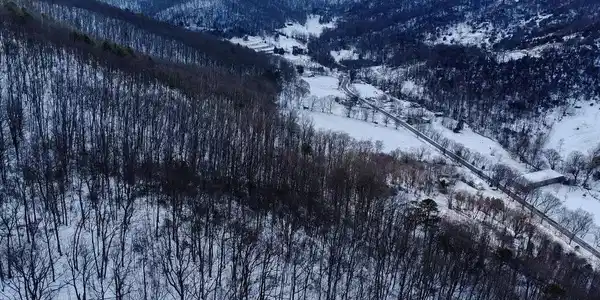 CUBBAGE HOLLOW RD, LOT 75 - 40.55 ACRES