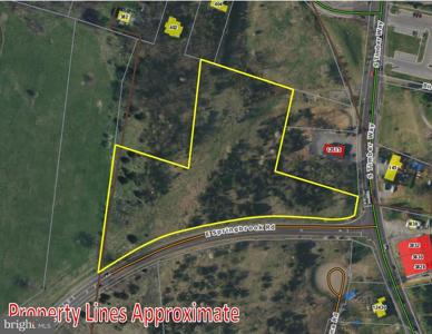 L3 SPRINGBROOK